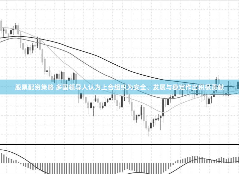 股票配资策略 多国领导人认为上合组织为安全、发展与稳定作出积极贡献