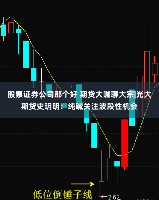 股票证券公司那个好 期货大咖聊大宗|光大期货史玥明：纯碱关注波段性机会
