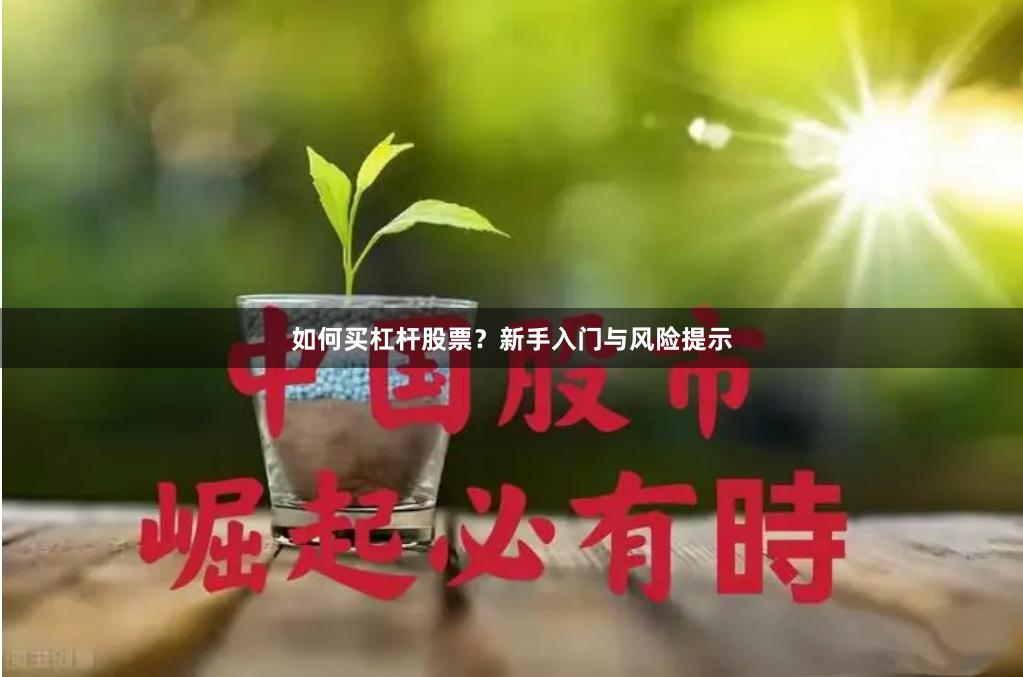 如何买杠杆股票?新手入门与风险提示